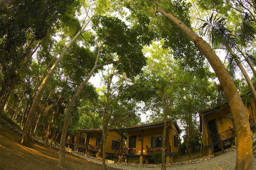 Maruni Sanctuary Lodge By Kgh Group Sauraha Exterior photo